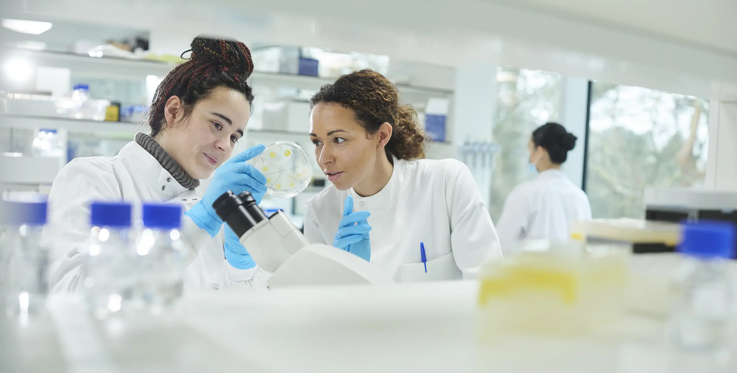 The ORISE Research Participation Programs at the U.S. Food and Drug Administration (FDA) offer hands-on laboratory experiences and internships for university students and faculty in support of FDA's mission to protect America's food supply and pharmaceuticals and to ensure the safety of medical devices and radiation emitting products.