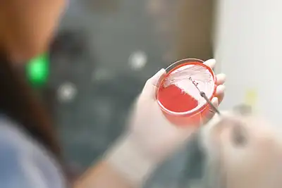 toxocology.webp