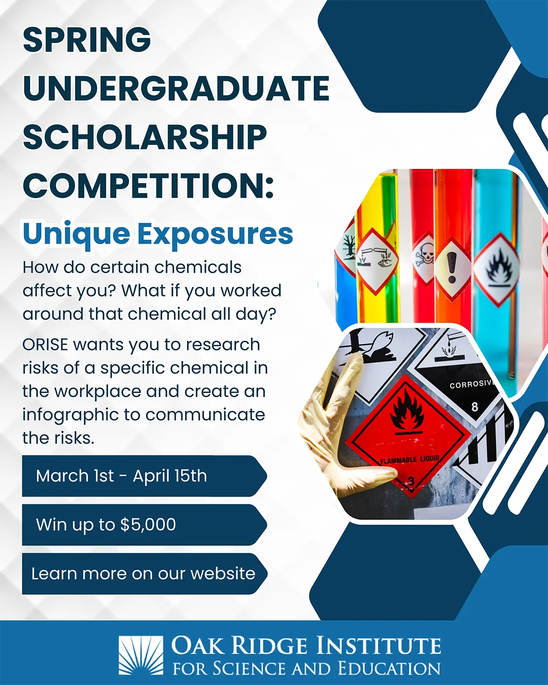 Undergraduate Scholarships