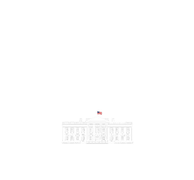 Presidential AI Challenge logo