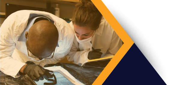 ODNI researchers at work