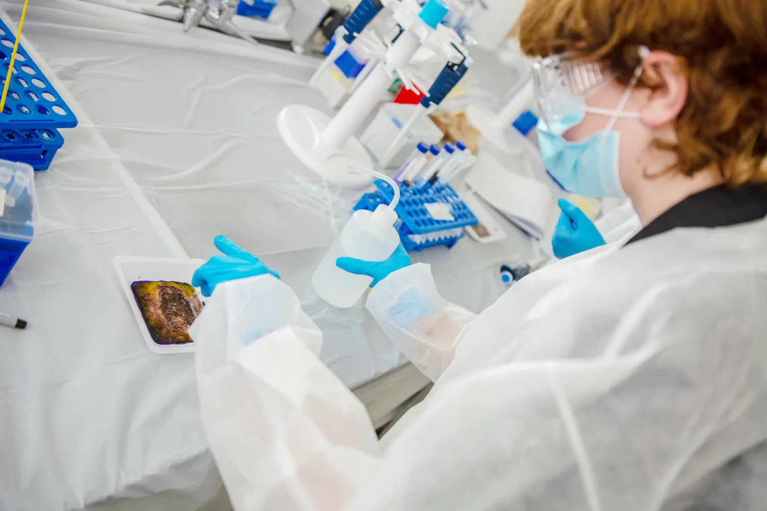 A student participates in a lab experiment