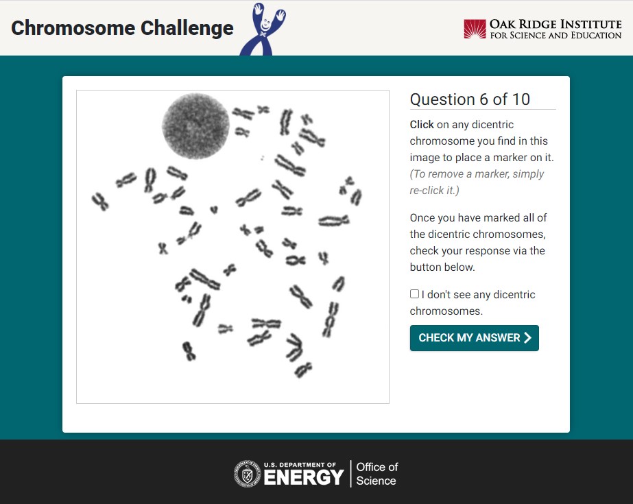 Screen capture from ORISE Dicentric Chromosome Challenge game