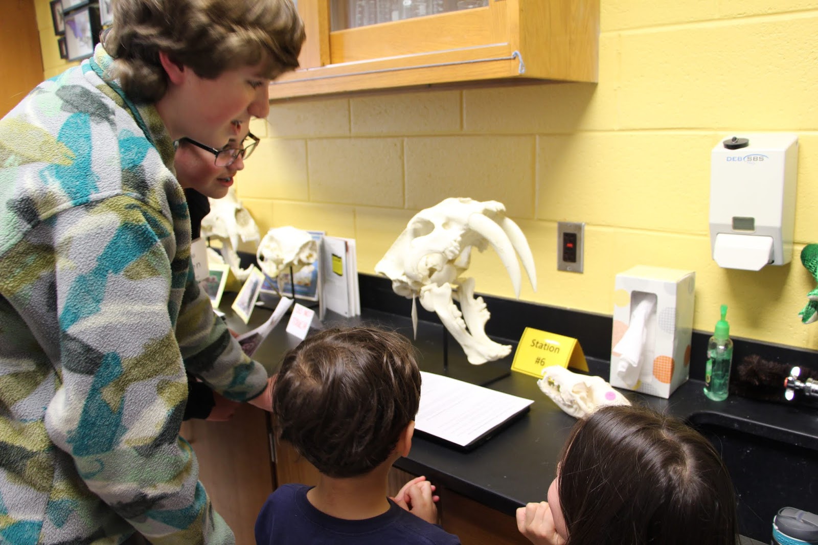 Eighth-grade students show kindergarten students a replica skull of the saber-tooth cat