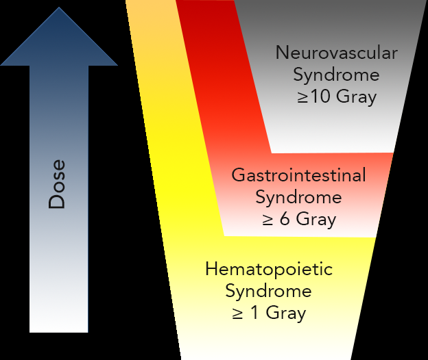 Acute Radiation Syndrome Phases