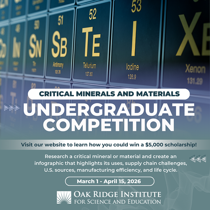 Undergraduate Scholarships