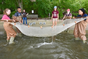 Water quality testing