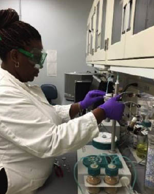 Fellow Chietha Moore synthesized and characterized customized ionic liquids for post-combustion carbon capture at the National Energy Technology Laboratory