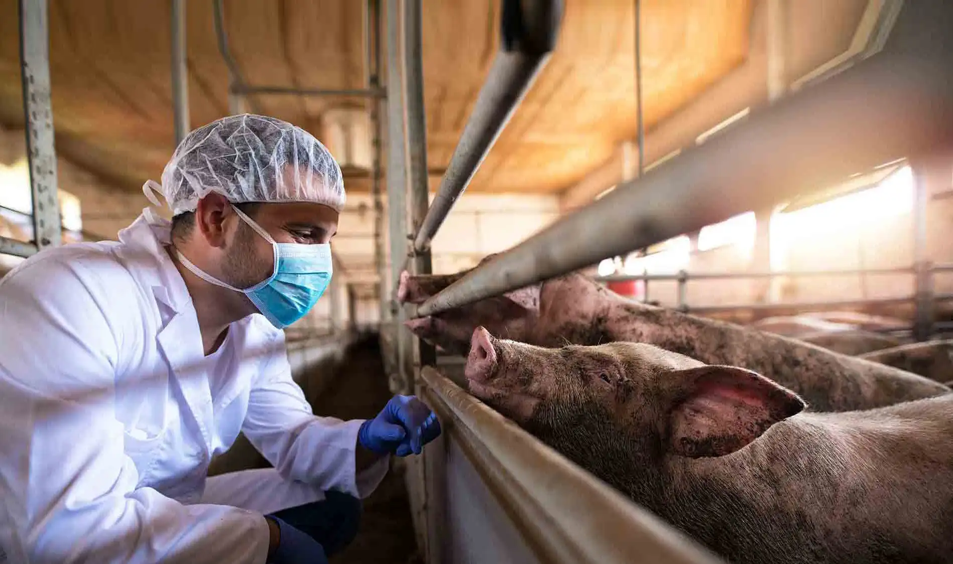 About USDA APHIS
