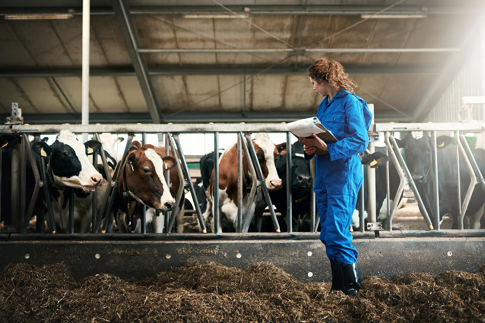 USDA Animal and Plant Health Inspection Service Research Participation Program (APHIS) are educational and training programs designed to provide college students, recent graduates, and university faculty opportunities to participate in project-specific research, current public health research, and developmental activities.