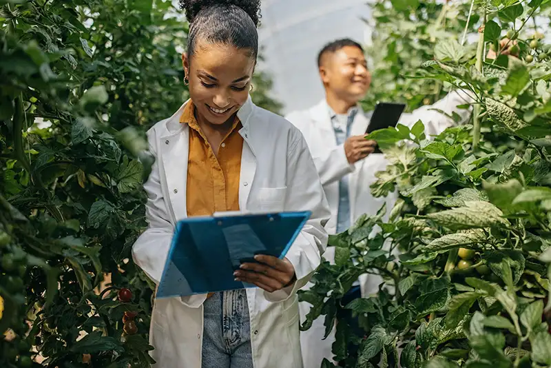 sustainable agriculture